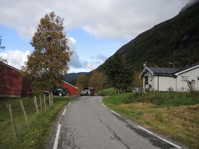 Nedkjøringen til tunet på Innereng ble også sett på ift at denne er veldig bratt og kommer rett opp på fylkesvegen uten avflating.