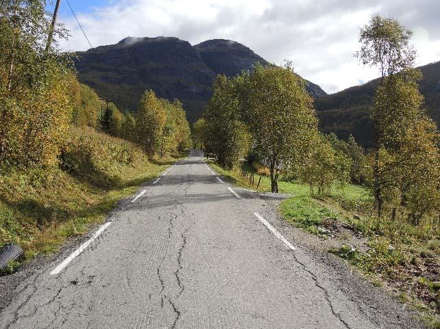 Notat om trafikk i Leirskarddalen Side 7 av 11 Innereng Markeringer med rødt viser forslag til