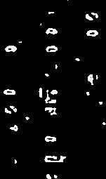 m2 9,1 m Flerbrukshensyn og