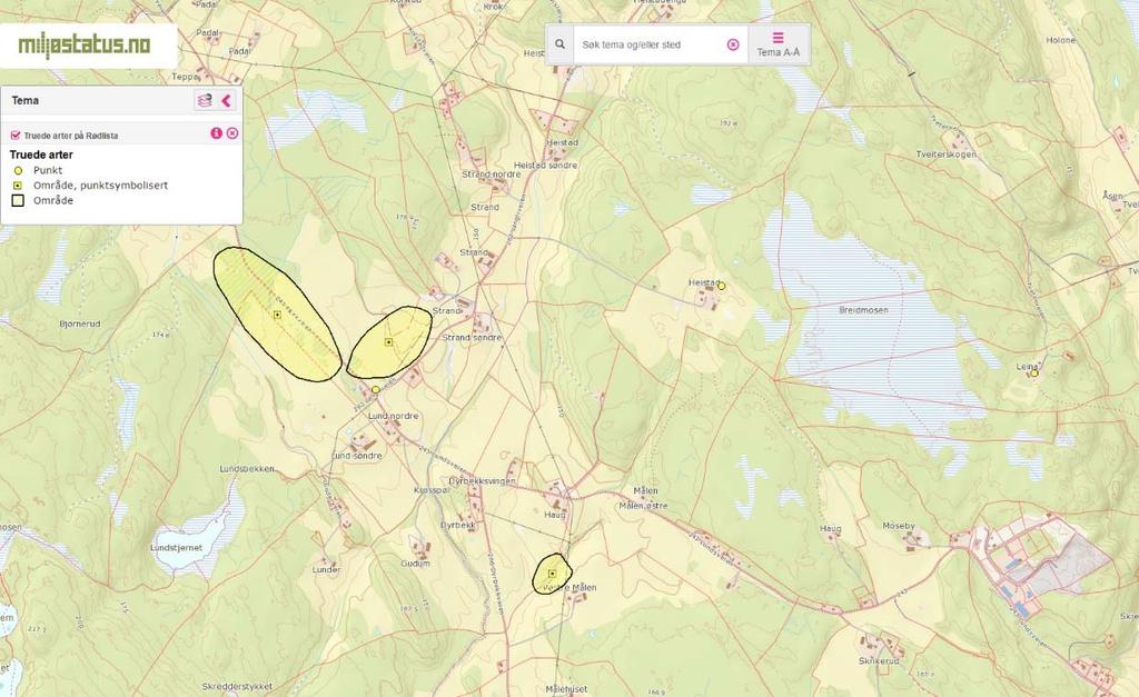 I det lille myrområdet midt i skogen har munkene observert gråhegre noen ganger i løpet av to. De har observert hekkende gråhegre på Breimåsan. 6.