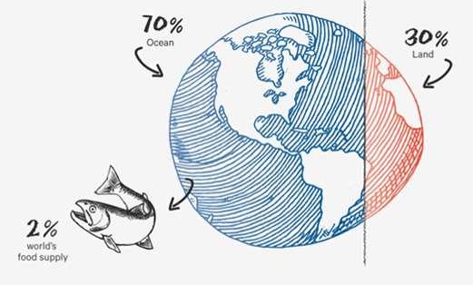 Havet som løsning Tre milliarder flere å mette i 2050 70 prosent av kloden er dekket av