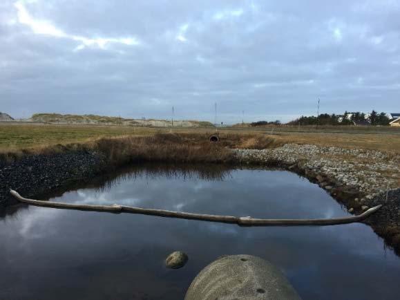 oljesøl Sedimentkammer som