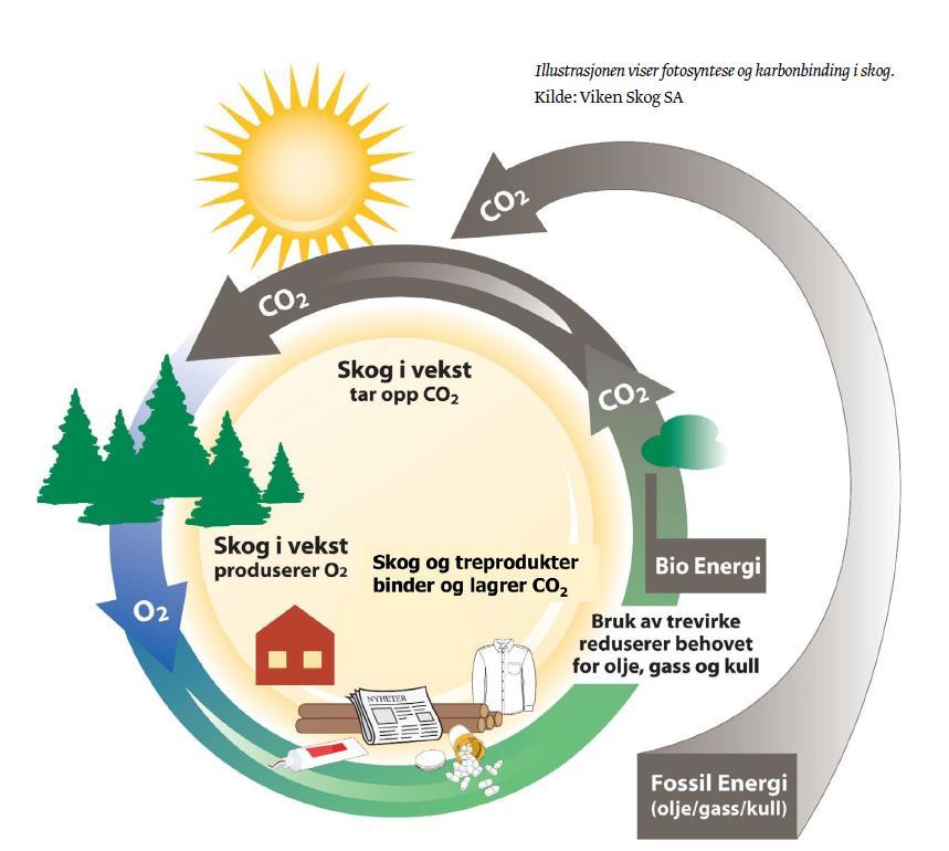 Bioenergi, grønt entreprenørskap som gir: Klima- og miljøvennlig energiproduksjon Bioenergi er fornybar og bærekraftig energi CO2 bindes i biomasse under vekst slik som trevirke, halm og grass Bruk