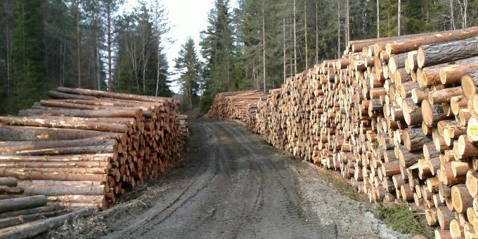 4 kwh/kg halm Tettheten i rundballer er 80-125 kg/m3 Husdyrgjødsel til biogass Ca 1250 storfe i Aurskog-Høland, hvorav 350 melkekyr.