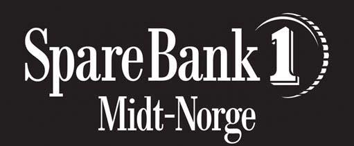 Romsdal Myntforening har sikret en trygg oppbevaring av sin myntsamling ved å