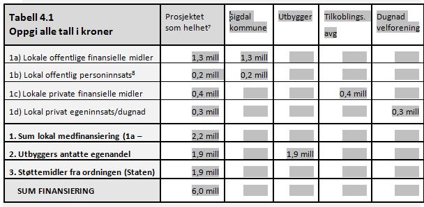 Søknaden inngår i en strategi for å få sikre grunnleggende bredbånd i hele Sigdal kommune.