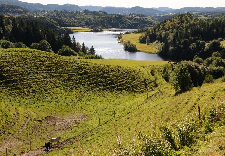 KLÆBU KOMMUNE Kommuneplan 2007 2018 Langsiktig del Vedtatt av kommunestyret 27.09.