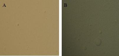 Figur 46: Mikroskopibilder av prøver med klindamycin og Numeta G16E på ulike tidspunkt etter utblanding (blandingsforhold 2:1) (forstørrelse 100x).