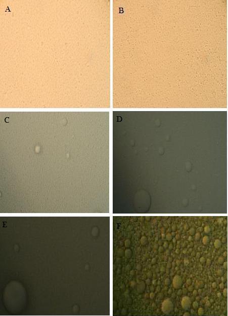 Figur 6 viser mikroskopibilder av TPN-blandingen etter gitte tidspunkt og lagringsbetingelser.