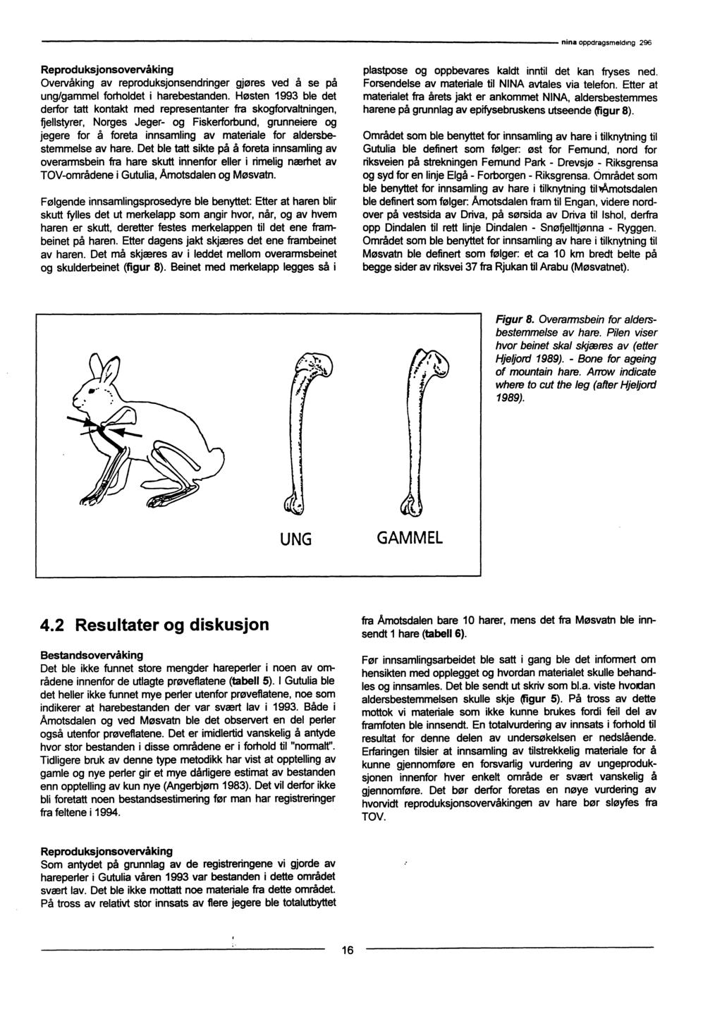 Reproduksjonsovervåking Overvåking av reproduksjonsendringer gjøres ved å se på ung/gammel forholdet i harebestanden.