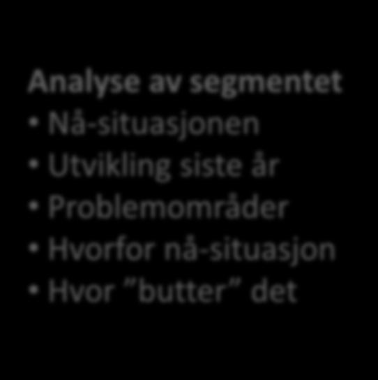 Metodikk Analyse av segmentet Nå-situasjonen Utvikling siste år