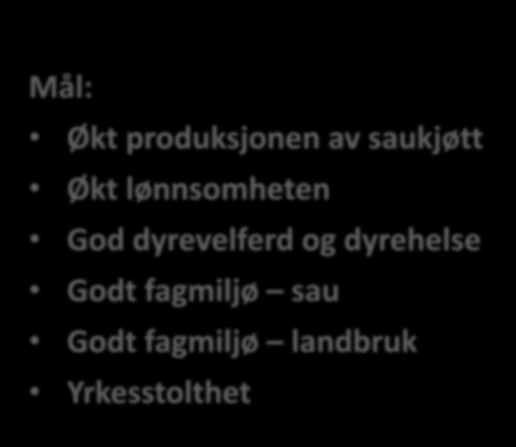 Prosjekt Grue/Åsnes/Våler/Elverum og Trysil Sauehold: Hvordan drive en god produksjon ved hold av sau på innmarksarealer Mål: