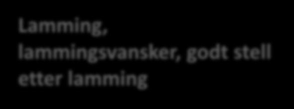 Prosjekt Grue/Åsnes/Våler/Elverum og Trysil Tema: Gode innmarksbeiter (raigras, beitepussing, stripebeiting m.m.) Avl; bruk av godt genmateriale, ulike raser Fôring gjennom vinteren; paring, før lamming m.