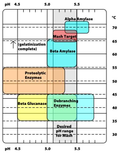 Figur 8: Optimal temperatur og ph for enzymene forbundet med mesking (Palmer 2006).