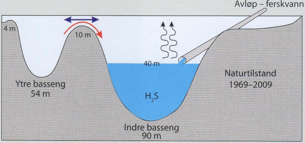 Utslipp av