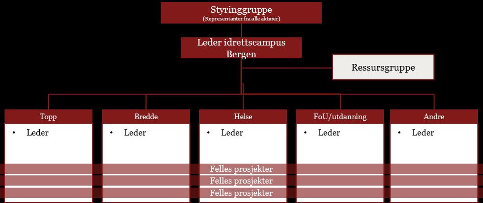 Begynn med ei prosjektorganisering - fortset med ei driftsorganisering Eksempel på organisering i oppstartfasen