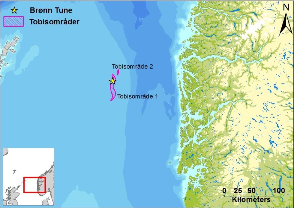 1 INTRODUKSJON DNV GL har på oppdrag fra Statoil gjort en vurdering av mulige effekter på tobis ved en utblåsning fra letebrønn Tune på Vikingbanken.