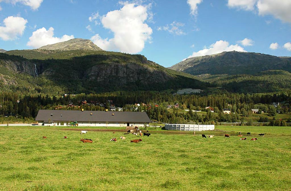 Fellesfjøs Hemsedal, Foto Landbruks- og matdepartementet DEL 2: Hvordan kan kommunene aktivt tilrettelegge i plan for tiltak som ikke er i tråd med LNFR-formålet?