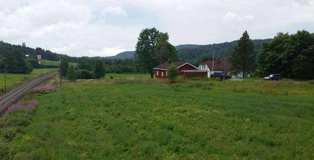 1. Tråholt - Bjørkedalen Kulturlandskap på Nordal. Tråholt og Bjørkedalen er et viktig kulturlandskapsområde i kommunen.