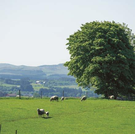 boligfelt, Aase Gård.