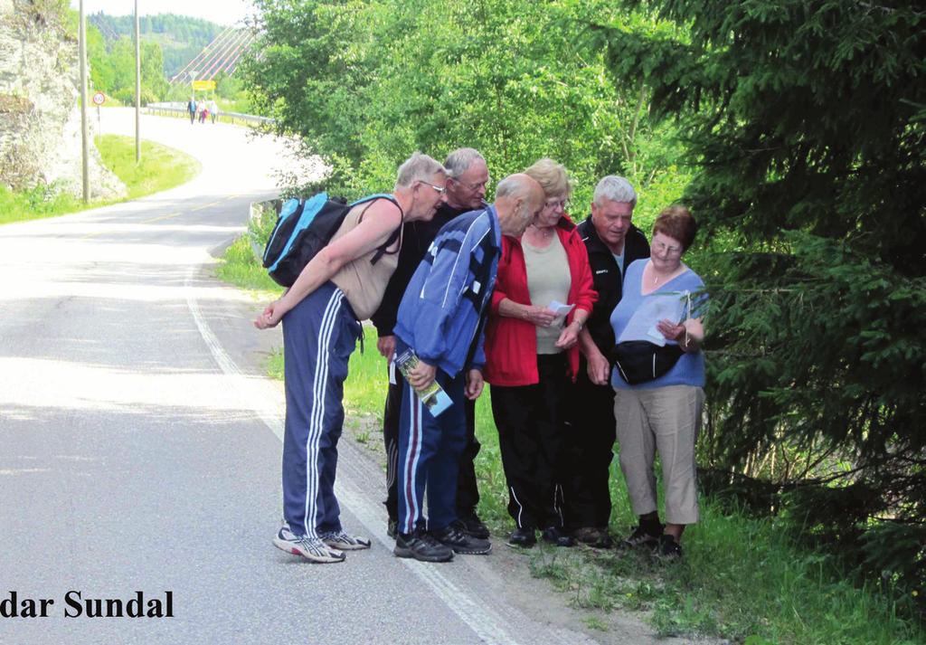 Inderøyturer 2012 01 24. JUNI Rhododendronmarsj - fra kl 1000. Fra Straumen følg Fv 755 (Inderøyvegen) ca 6,8 km mot Mosvik. Til høyre til Stokkanvegen og kjør ca 4,2 km, Videre Letnesvegen 0,5 km.