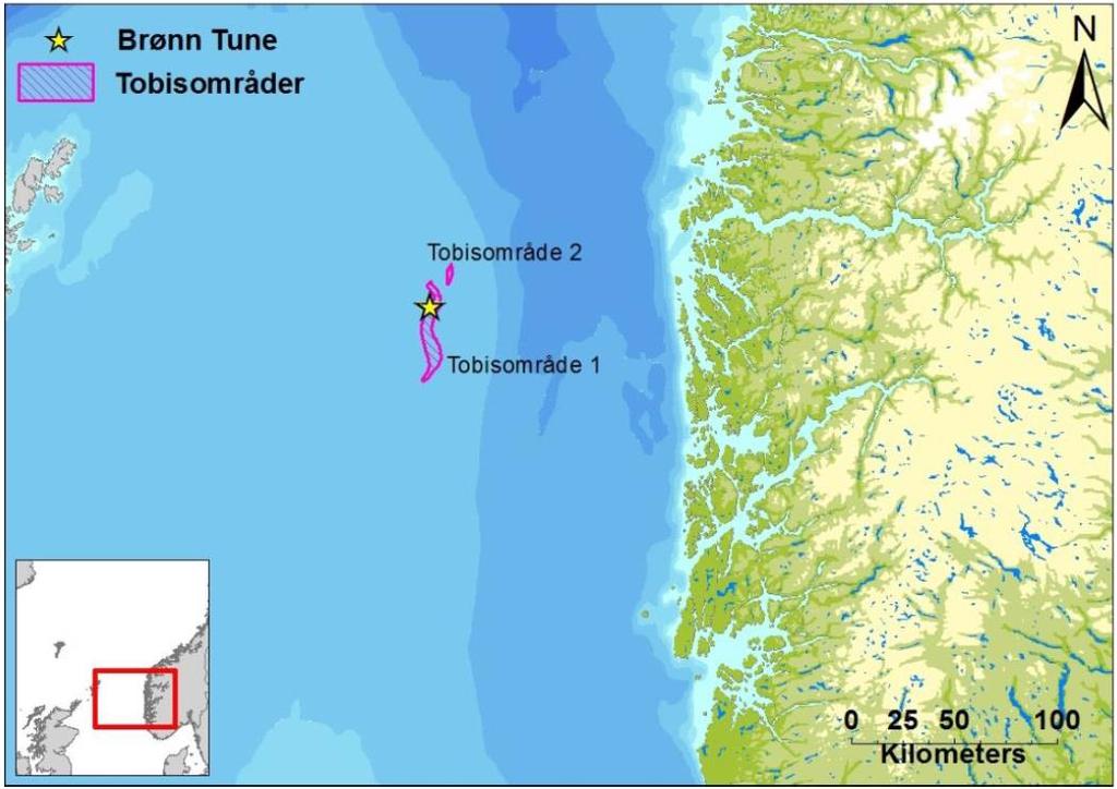 4.2.4 Miljørisiko for fisk Modellering av tapsandeler av fiskeegg og fiskelarver gitt en utblåsning fra 8 ½ seksjonen av letebrønnen Krafla Main Statfjord viser ingen sannsynlighet for tapsandeler