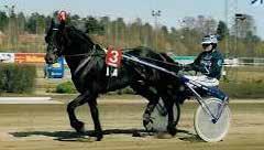 29.5 1992 ø Svintul Anders Andersson Karl Halvarsson 1.29.0 1993 L Bork Rigel Stall Siwa T. Jomar Blekkan 1.26.5 1994 ø Åslands Kvikk Frode Isdahl Edvard Kristiansen 1.30.