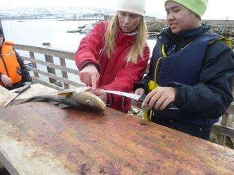 Handlingskompetanse for bærekraftig utvikling Krever