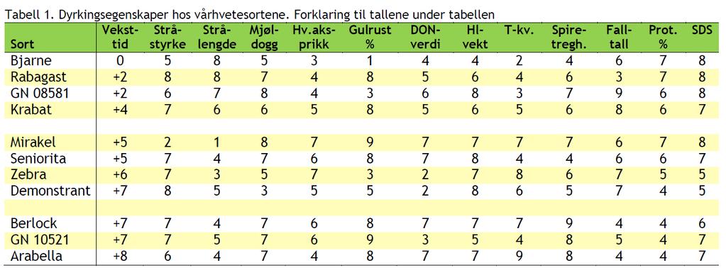 Vårhvetesorter Norsk