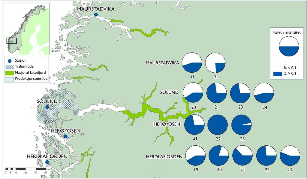 40 lus i uke 21, 23 og 24. Andel av sjøørret med mer enn 0,1 lus per gram kroppsvekt ble beregnet til hhv. 73, 72 og 46 prosent i de aktuelle ukene (tabell 4, figur 6).