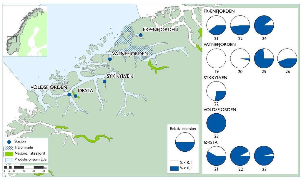 henholdsvis 74 og 40 prosent i de aktuelle ukene. Antall fisk som ble fanget i Vantefjorden i uke 26 var imidlertid lavt (tabell 5, figur 7).