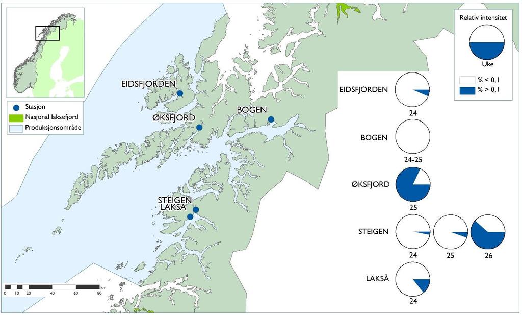 andelen med mer enn 0,1 lus per gram kroppsvekt med beregnet 95 % konfidensintervall i klammer bak. Nordland Nord Sjøørret (ruse-og garnfiske) Stasjon Uke N total Vekt Prev [95%CI] Gj.