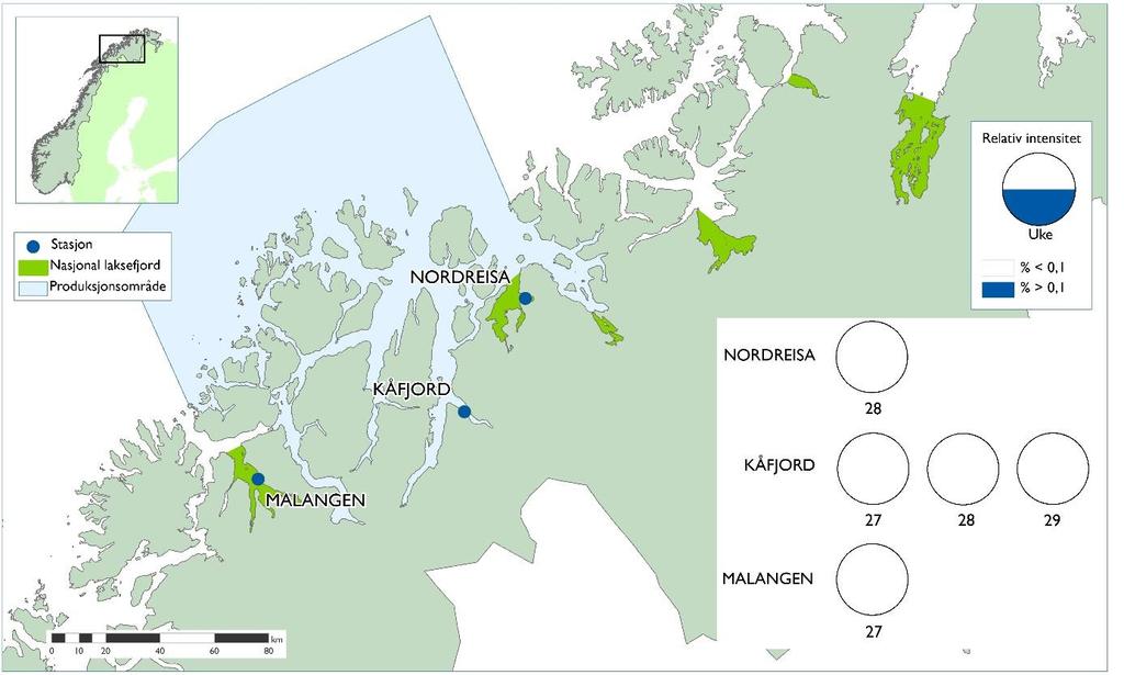 I Malangen ble det i uke 27 funnet lus på 10 prosent av den undersøkte fisken, og med en gjennomsnittlig intensitet på 1 lus.