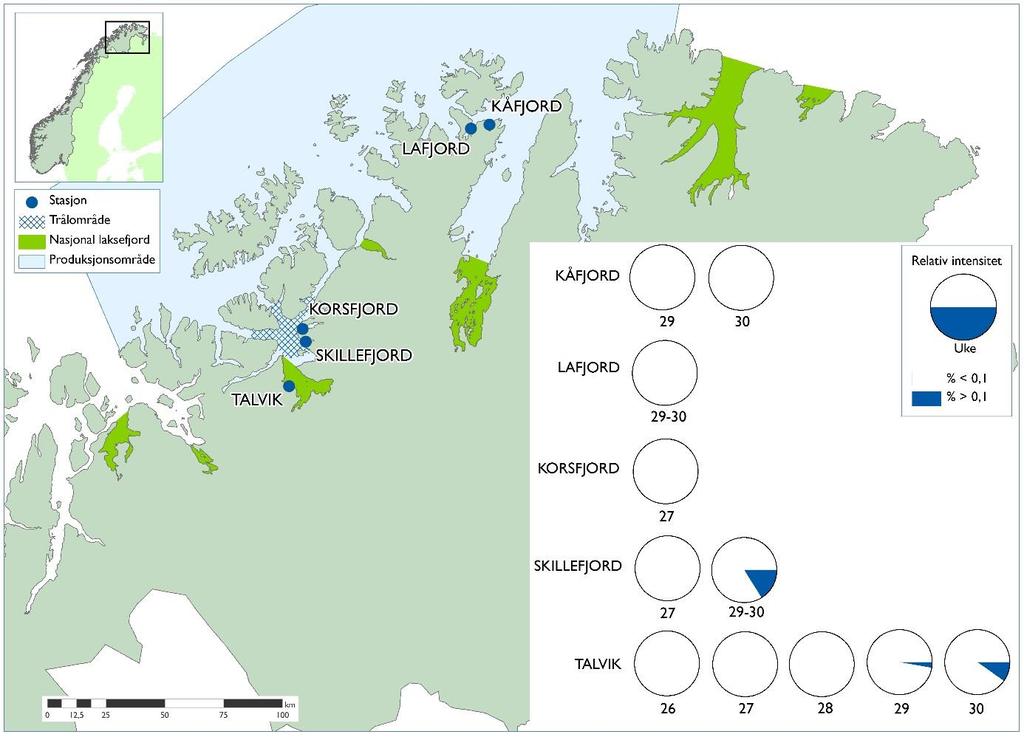 Figur 14. Trålområde for tråling av postsmolt laks og undersøkte ruse- og garnfiskestasjoner i Finnmark vest. Sektordiagrammet viser resultater fra ruse- og garnfiske etter sjøørret.