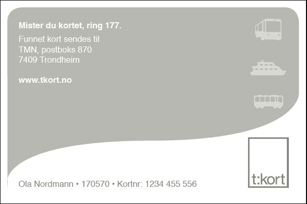 [K 18] Sikkerhetsmekanismer og sikring av data på kortet skal være i samsvar med kravene i Statens vegvesens håndbok 206, del 3 (referanse 3).