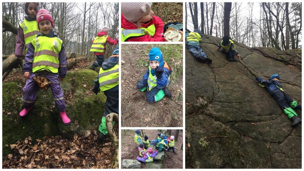 Tur: I skogen: «Jippi, vi skal på plassen vår» er kommentaren fra flere barn når vi sier vi skal på tur til skogen hvor vi har leirplassen vår.