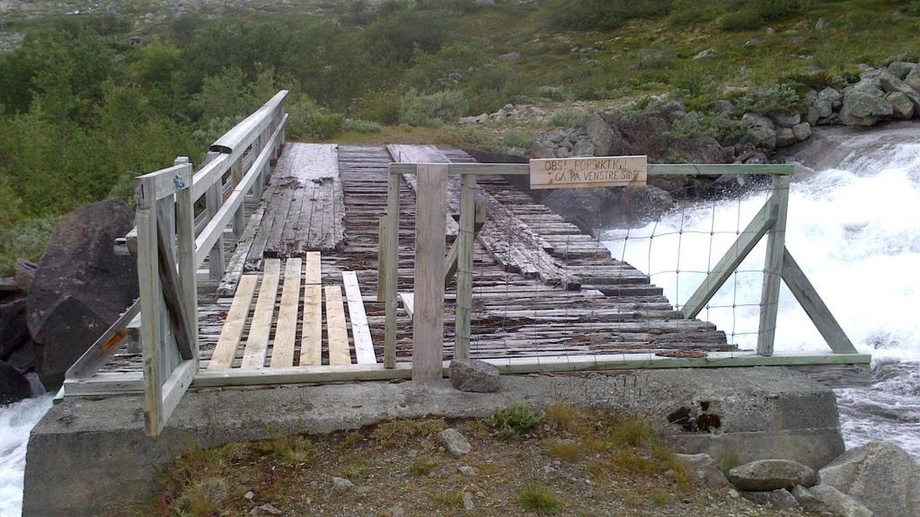 Utviklingstrekk/utfordringar Gjengroing trugar verneverdiane i Vigdalen, og spreiing av gran har vore den største trugselen. Fjerning av gran som har spreidd seg har betra situasjonen.