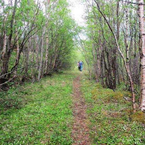 Riktignok gjenstår endelig behandling av området Brakstad hamn og et område i Brakstadsundet (for sistnevnte område er vi i meklingsfase med fylkesmannen). Men resten av planen er altså vedtatt.