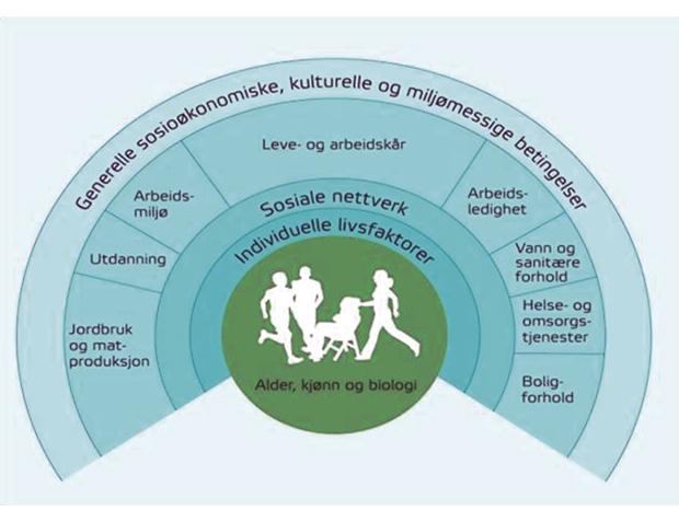 utdanning, arbeid, inntekt, bo- og nærmiljø, sosial inkludering, tilgang til tjenester, samt tilgang til «friskfaktorer» som ren luft, naturområder, gang- og sykkelveier og fravær av støy.