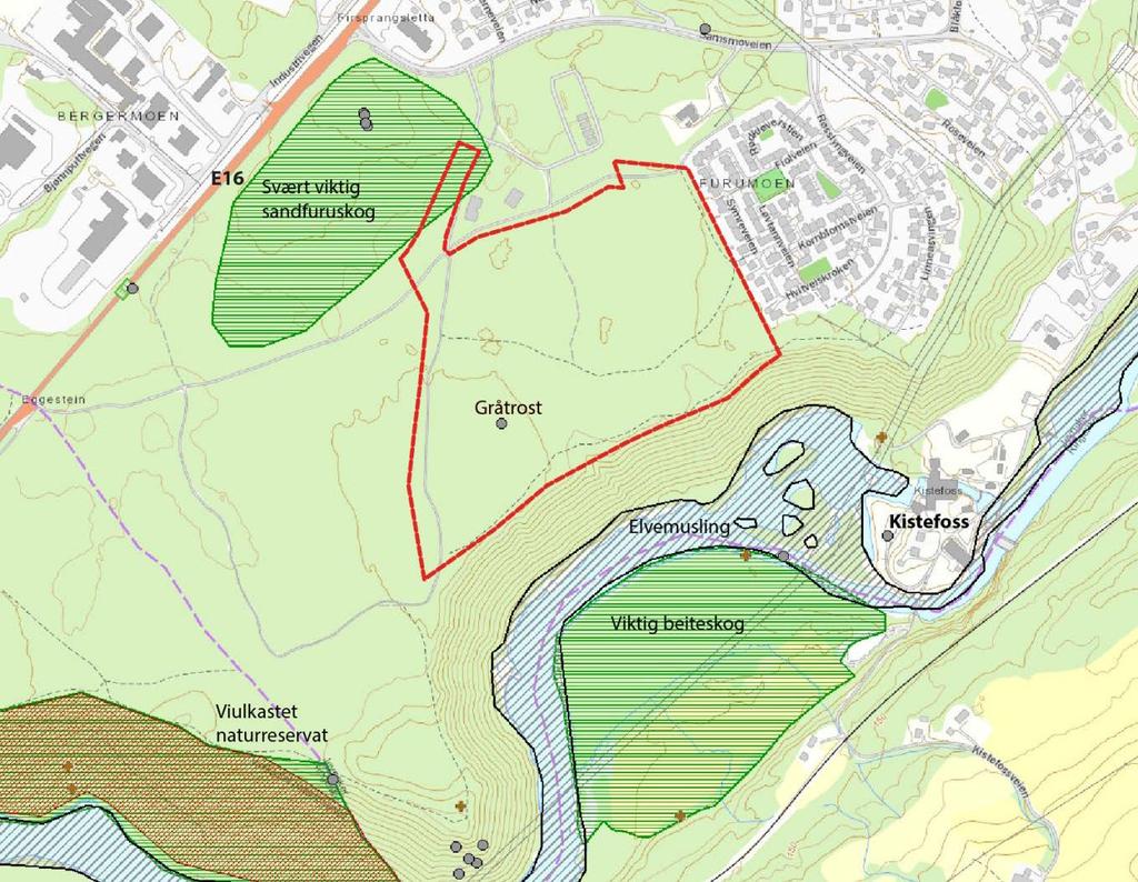 16 (22) FORSLAG TIL PLANPROGRAM 11.1.3 Naturens mangfold I Miljødirektoratets Naturbase er det to registreringer innenfor planområdet.