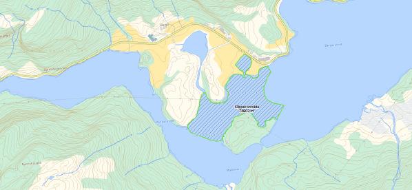 Figur 5. Oversikt over områdene (skravert) som er klippet i 2011 ved Bergovannet (Kilde: BKK Produksjon AS).