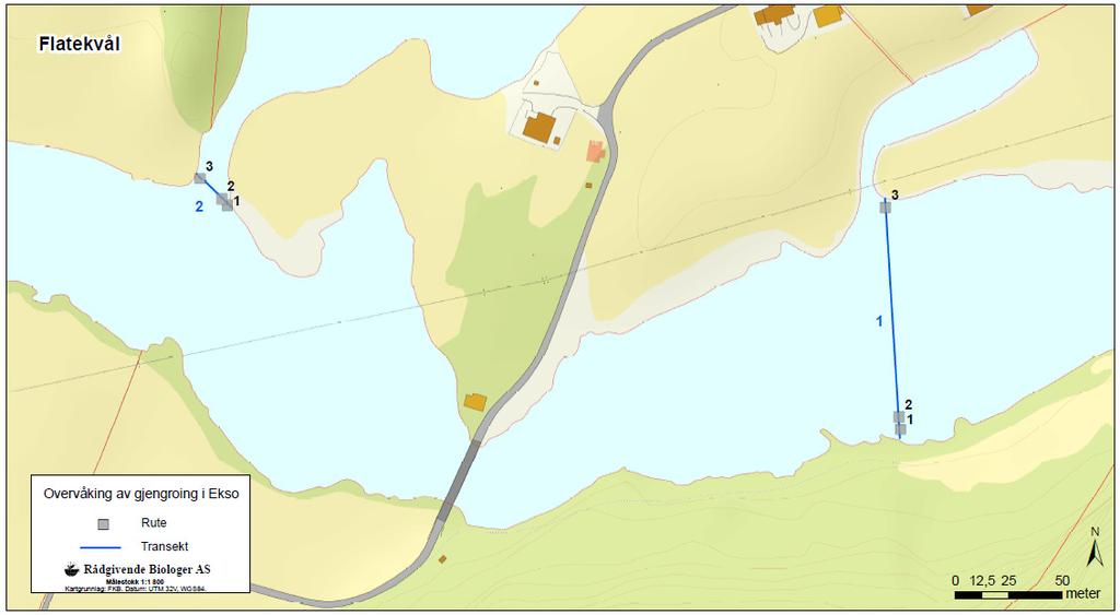 RESULTAT FLATEKVÅL Plasseringen av de to transektene ved Flatekvål er gitt i figur 12. I rutene ble det registrert sylblad klovasshår krypsiv flaskestarr flotgras og kjølelvmose (figur 13).