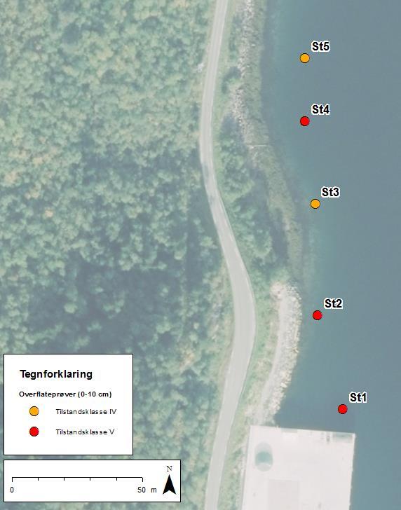 Rognan fiskerihavn Miljøundersøkelser av sjøbunnsediment multiconsult.