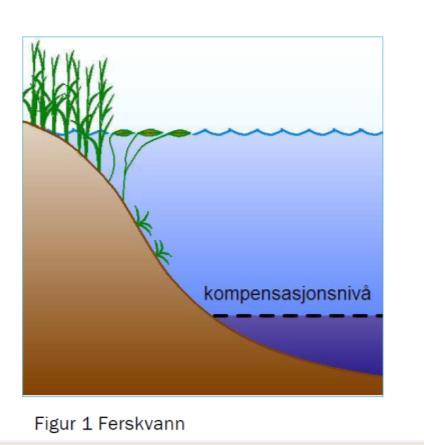 Økologi 18 (oppgave 3 - vår 2010) Allelfrekvensene til en art utgjør artens A) økologiske mangfold B) biologiske mangfold C) genetiske mangfold D) allopatriske mangfold Økologi 19 (oppgave 4 - vår