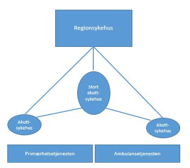 Ulike sykehus, ulik kompetanse, ulike roller, men må arbeide sammen Regionsykehuset Stort akuttsykehus