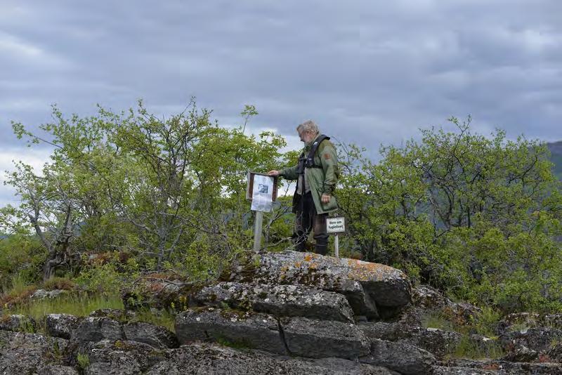 Viggo Ree i ferd med å sette opp skilt om sjøfuglhekking på Tjuvholmen i Steinsfjorden den 22. mai 2015. Dette året hekket det bl.a. sildemåke på øya.