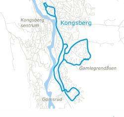 Konnerudgata - Gulskogen senter (linje 25) Utredning og gjennomføring av aktuelle kollektivfremmende tiltak langs linje 25, mellom Konnerudgata i Nybyen til Gulskogen.