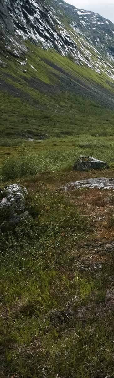 helt avgjørende at landbruket, gjennom aktiv bruk, bidrar til å sikre et stort mangfold av plantegenetiske ressurser og et stort mangfold av husdyrraser.