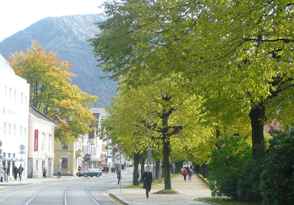 Komplementære funksjoner - mangfold Mindemyren har en sentrumsnær beliggenhet omgitt av boligområder, Høgskolen i Bergen, Leaparken, vann i hver ende av det nærmere to kilometer langstrakte området,