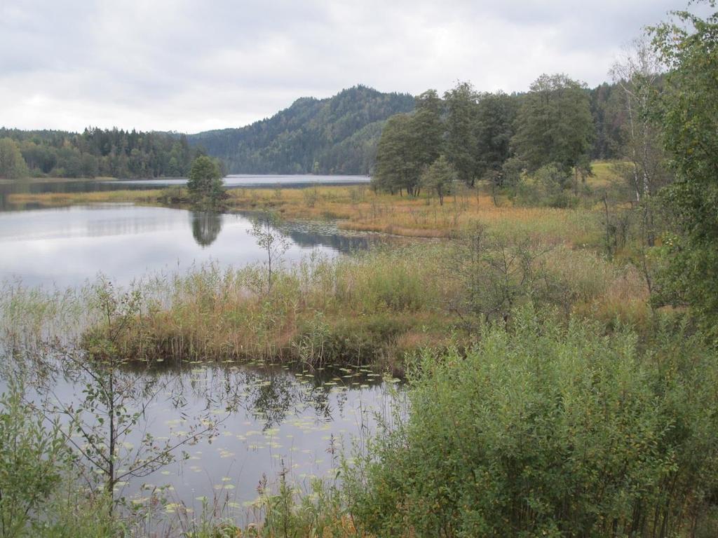 3.2.4 Berse NR Berse naturreservat er et våtmarksreservat hvor store deler av det vernede arealet består av åpent vann. Verneområdet ligger rett sør for Birkeland tettsted.